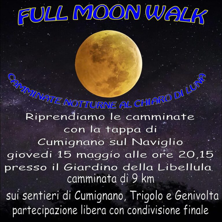 Full Moon Walk